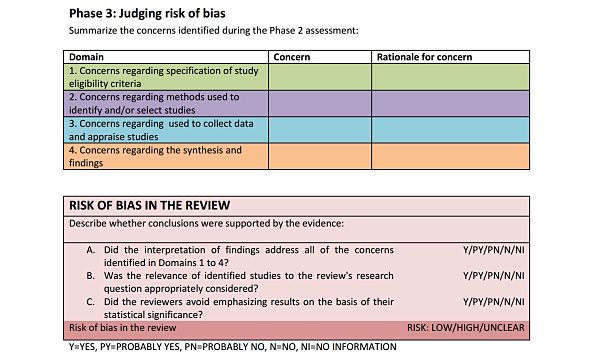 The tables for inputting data at Phase 3 using the ROBIS tool. The first table is used to summarise concerns identified during the Phase 2 assessment, and the second table offer a framework to establish risk of bias in the review.